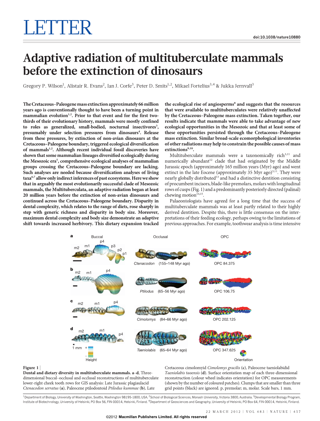 Adaptive Radiation of Multituberculate Mammals Before the Extinction of Dinosaurs