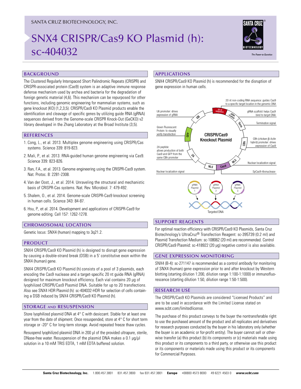 SNX4 CRISPR/Cas9 KO Plasmid (H): Sc-404032