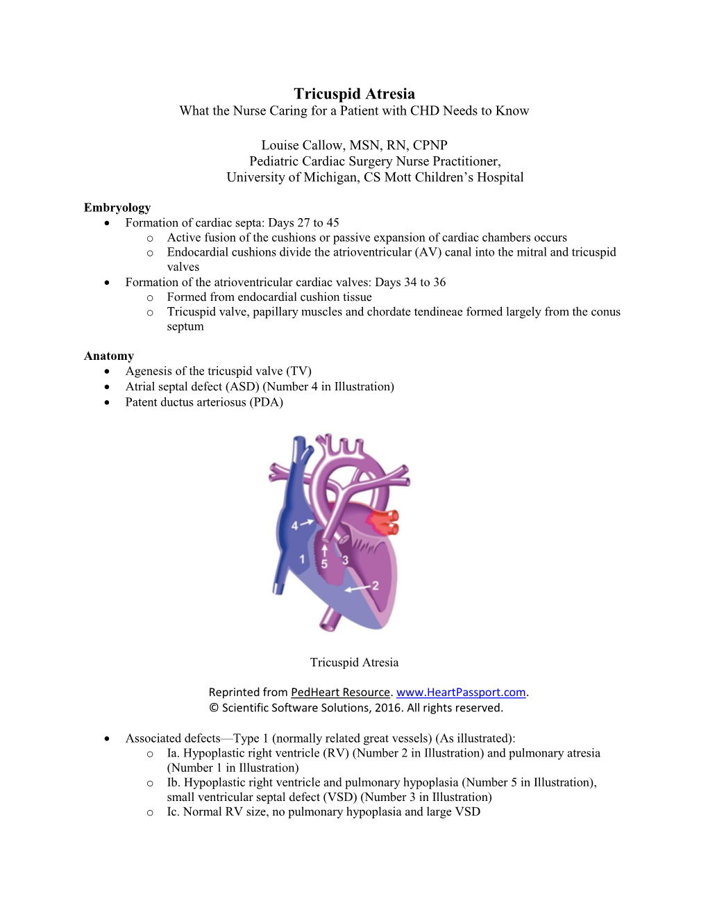 Tricuspid Atresia What the Nurse Caring for a Patient with CHD Needs to Know