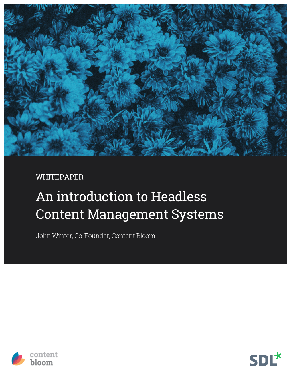 An Introduction to Headless Content Management Systems