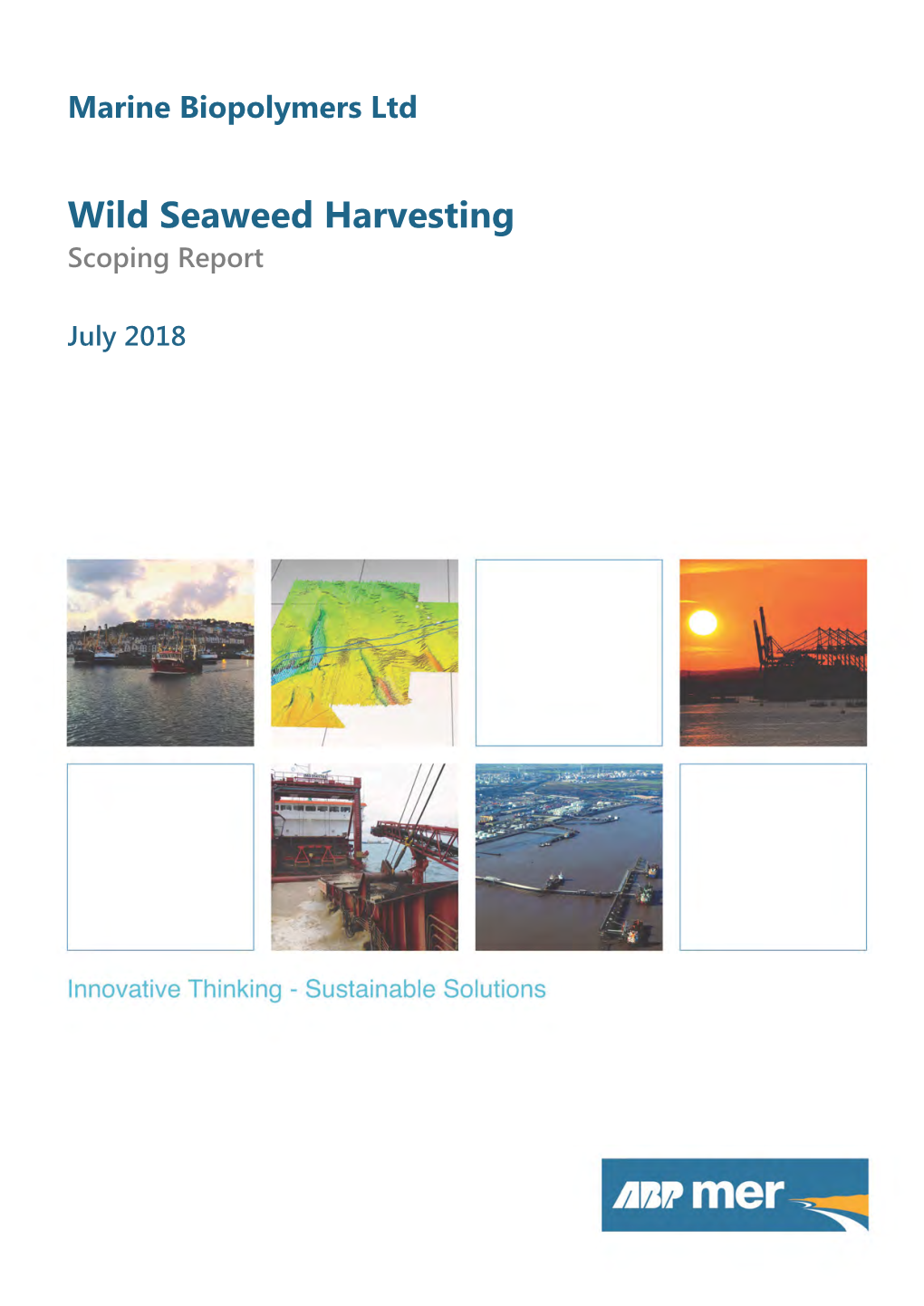 Wild Seaweed Harvesting Scoping Report