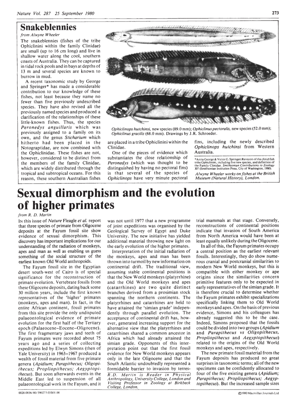 Sexual Dimorphism and the Evolution of Higher Primates from R