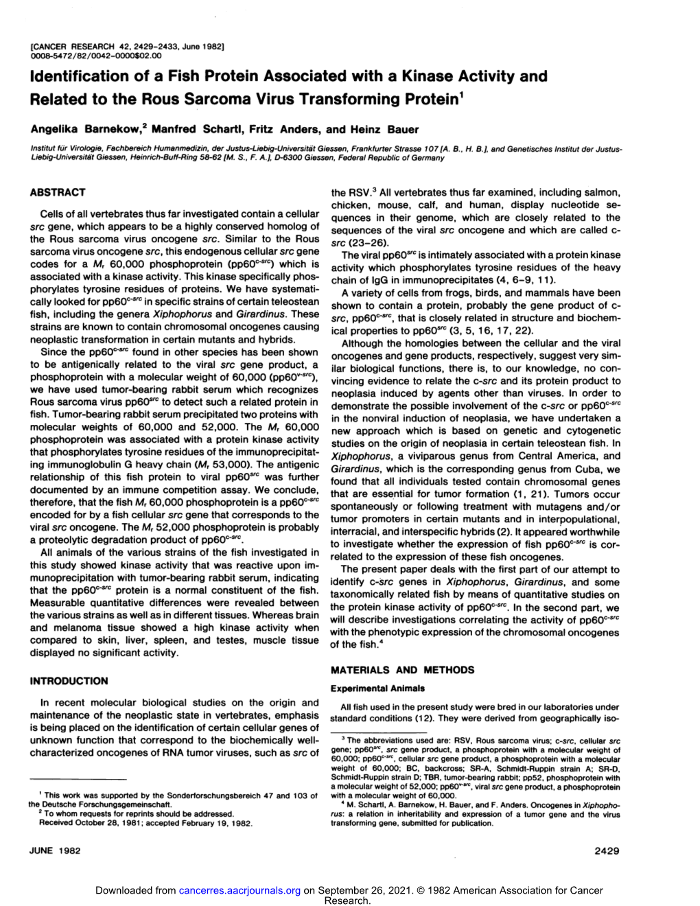 Identification of a Fish Protein Associated with a Kinase Activity and Related to the Rous Sarcoma Virus Transforming Protein1