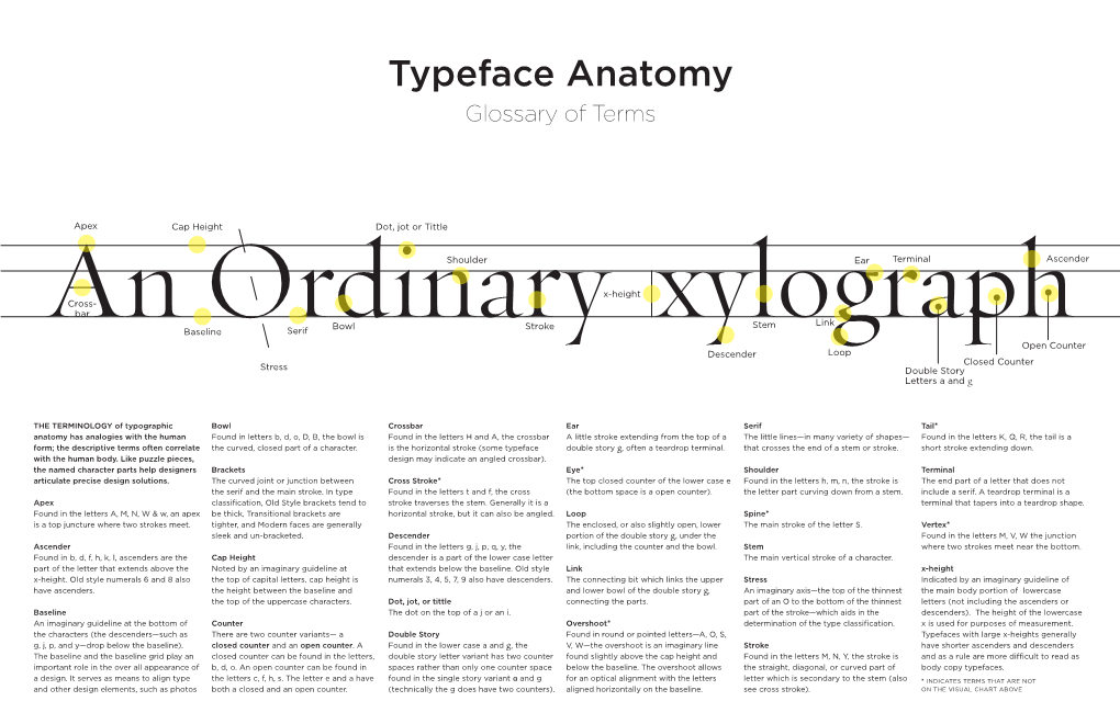 Typeface Anatomy Glossary of Terms