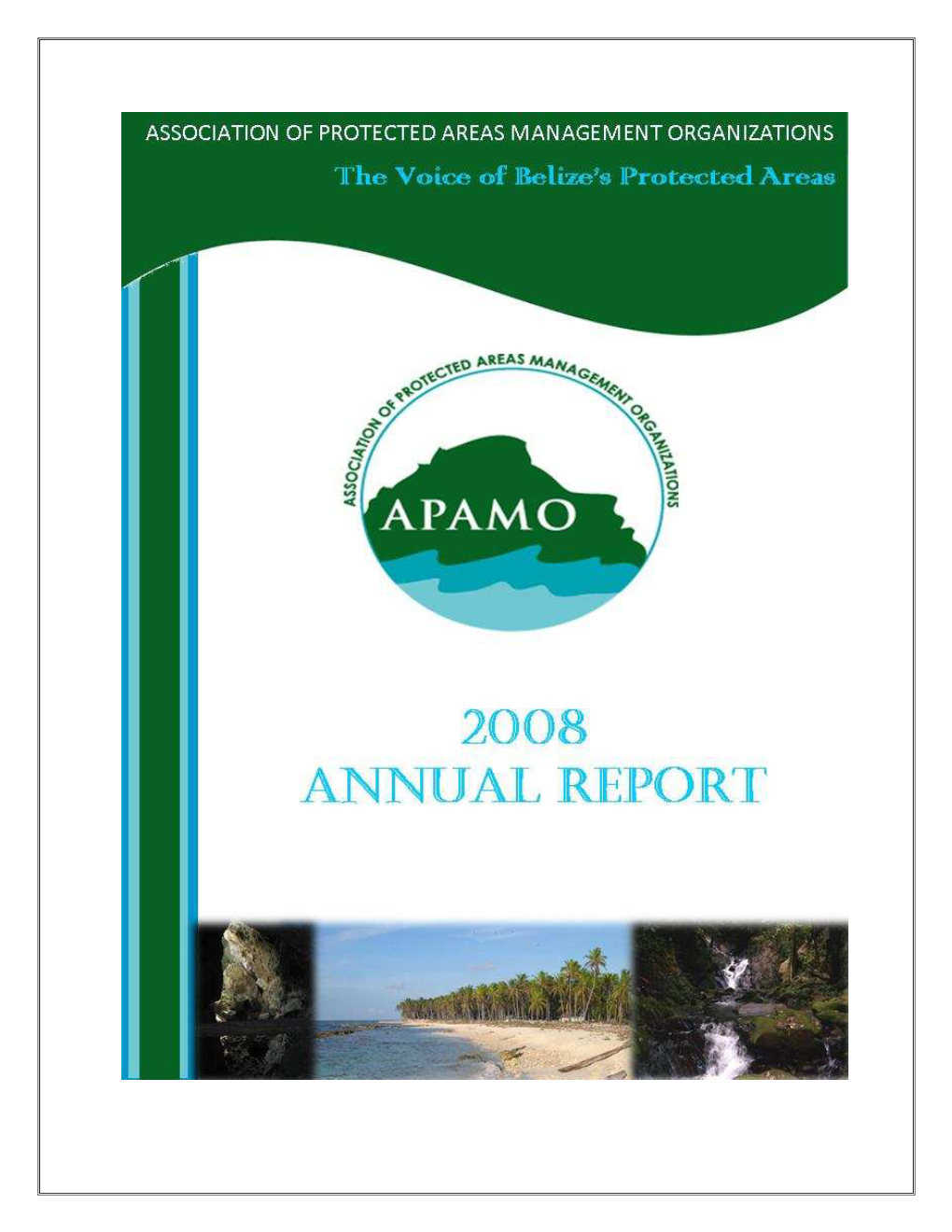 APAMO 2008 Annual Report