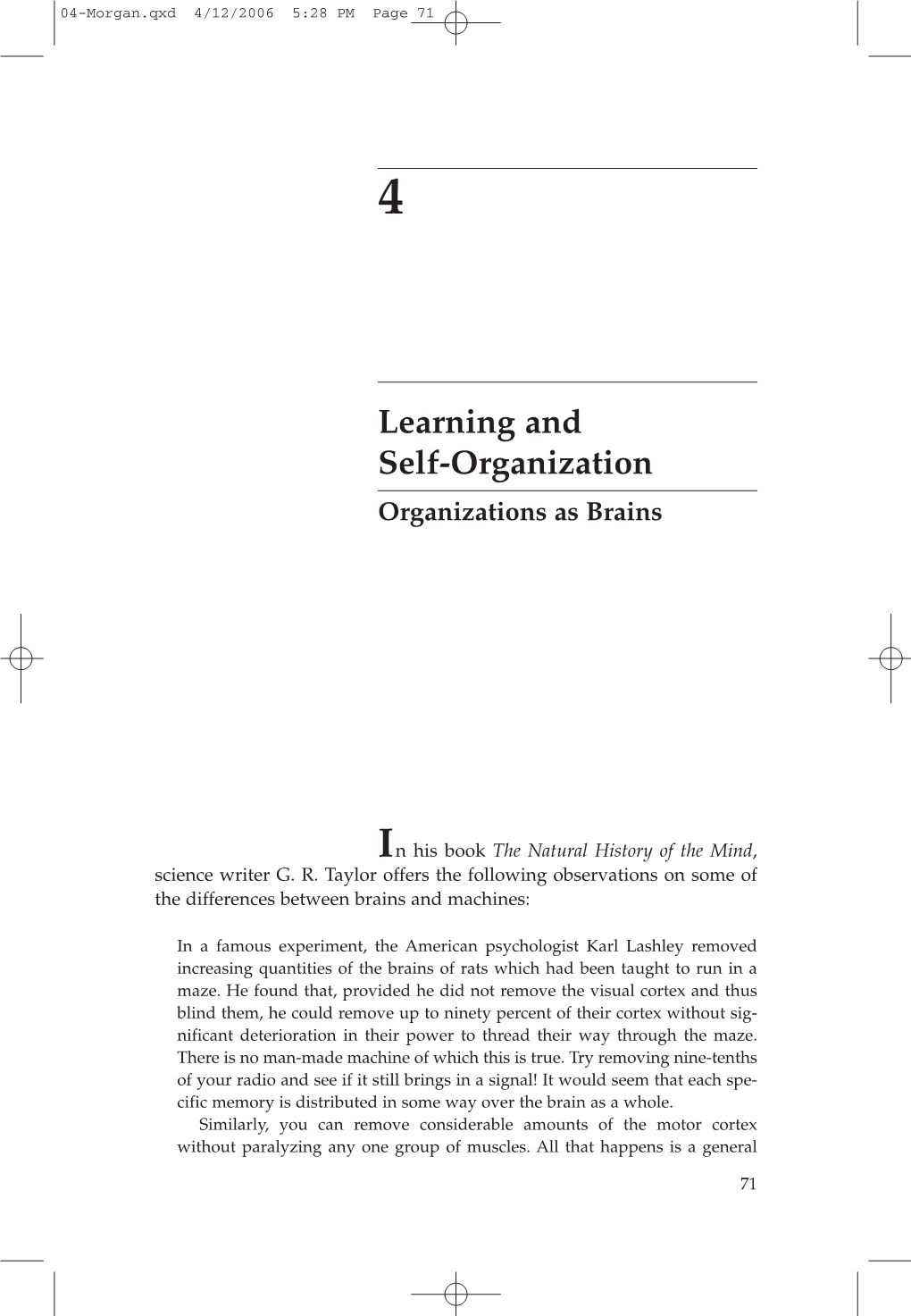 Learning and Self-Organization Organizations As Brains