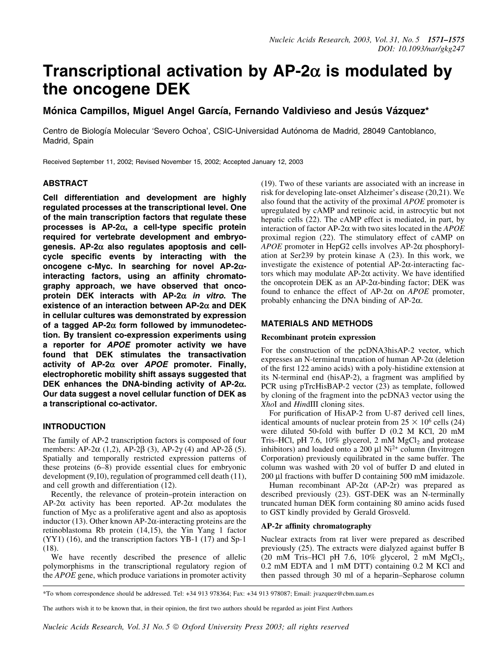 Transcriptional Activation by AP-2A Is Modulated by the Oncogene DEK