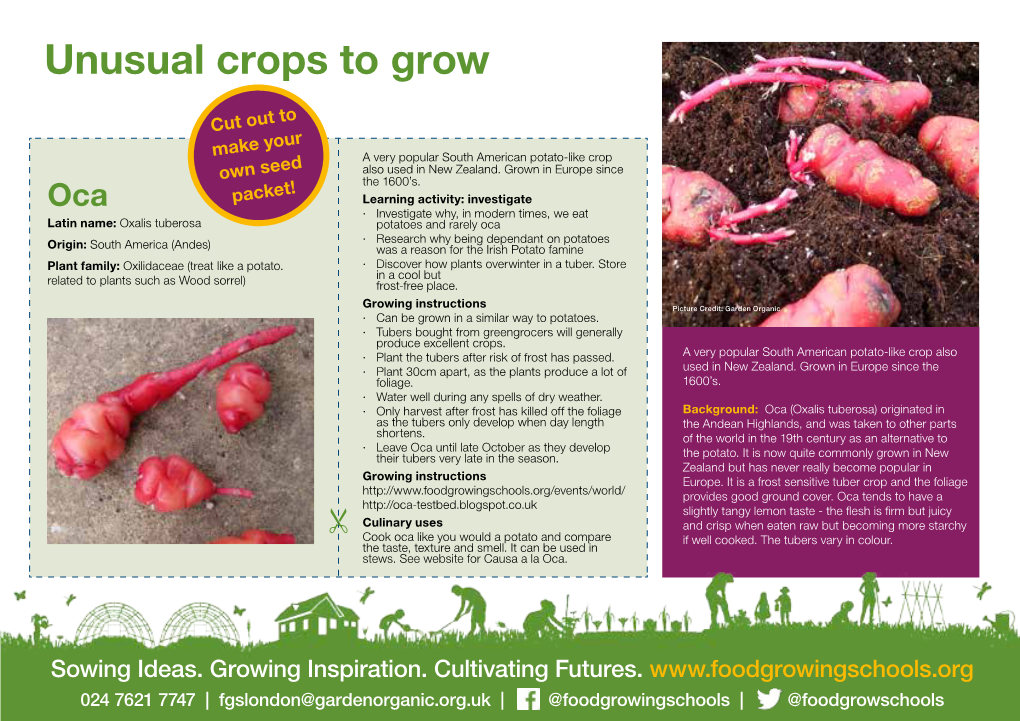Unusual Crops to Grow