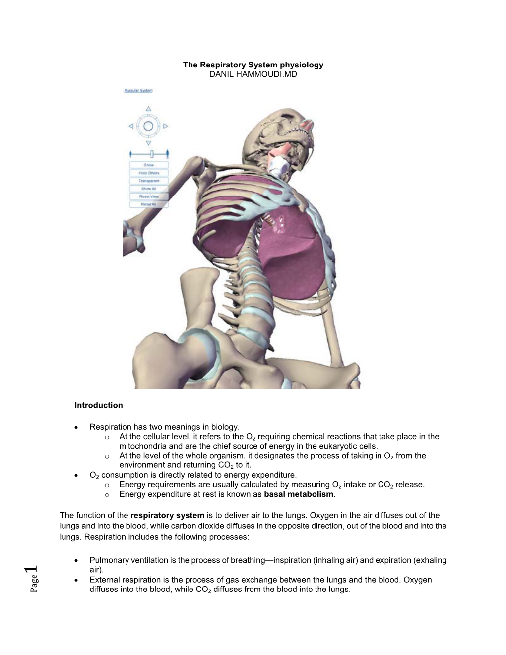 Respiratory Physiology 2