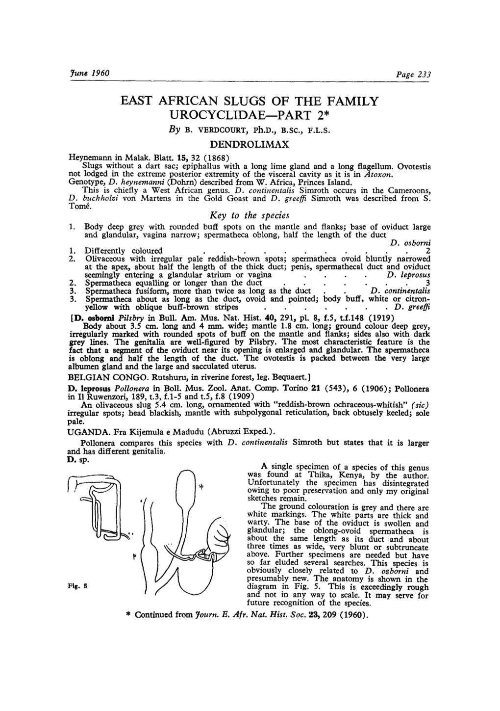 EAST AFRICAN SLUGS of the FAMILY UROCYCLIDAE-PART 2* by B