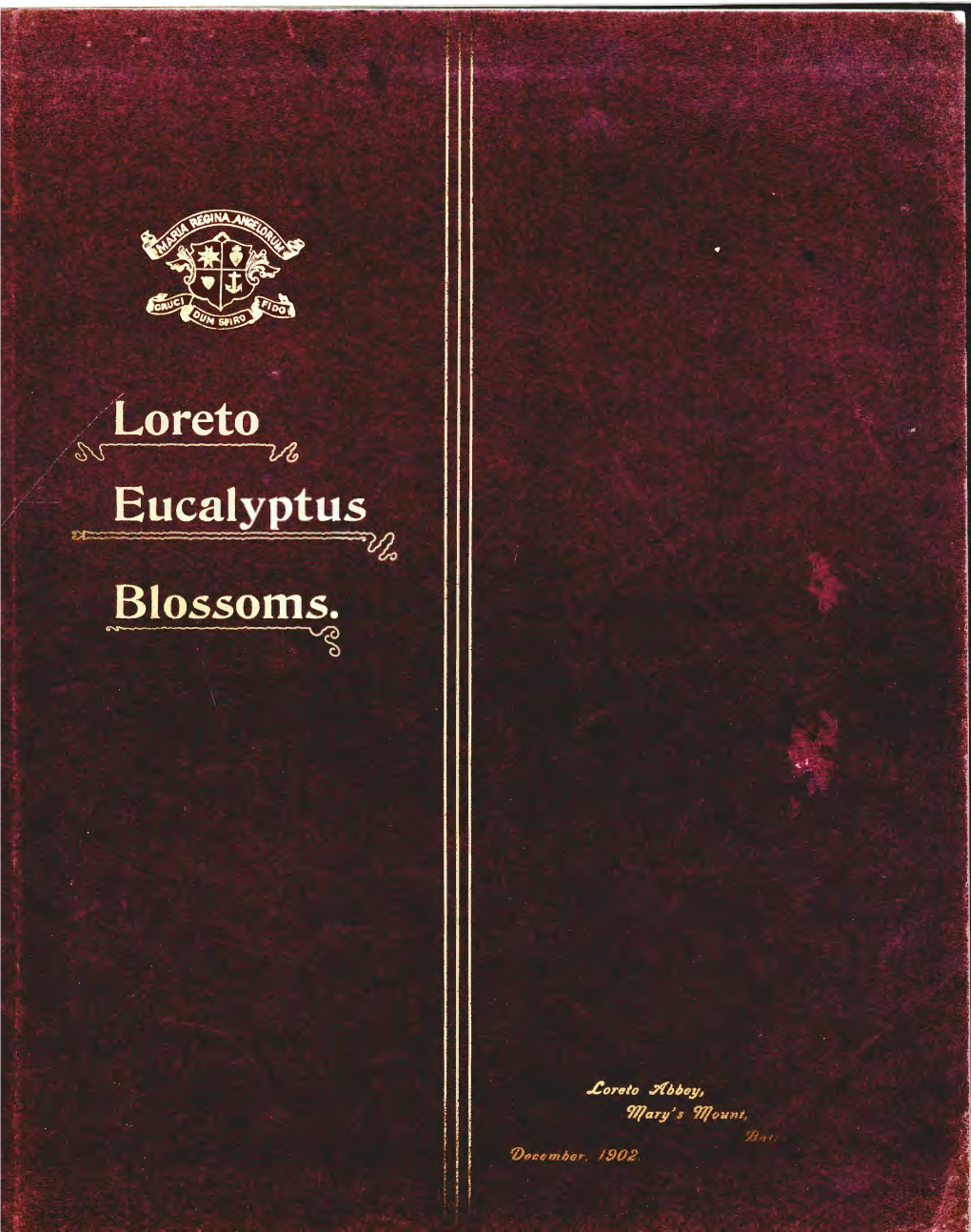1902 Eucalyptus-Blossoms.Pdf