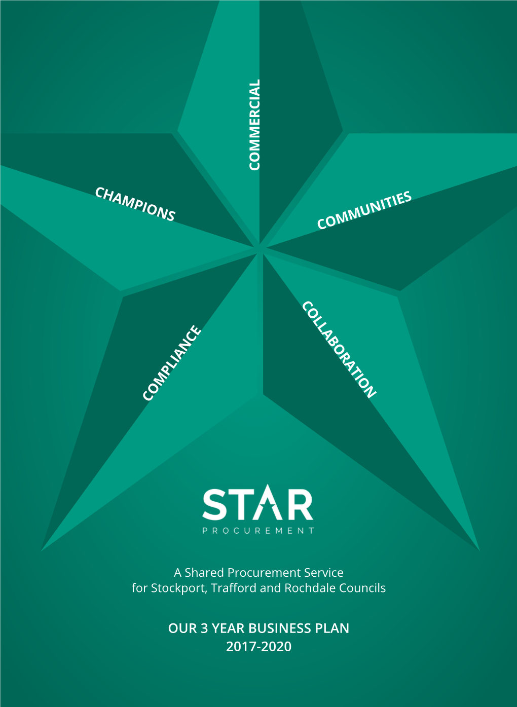 STAR Business Plan