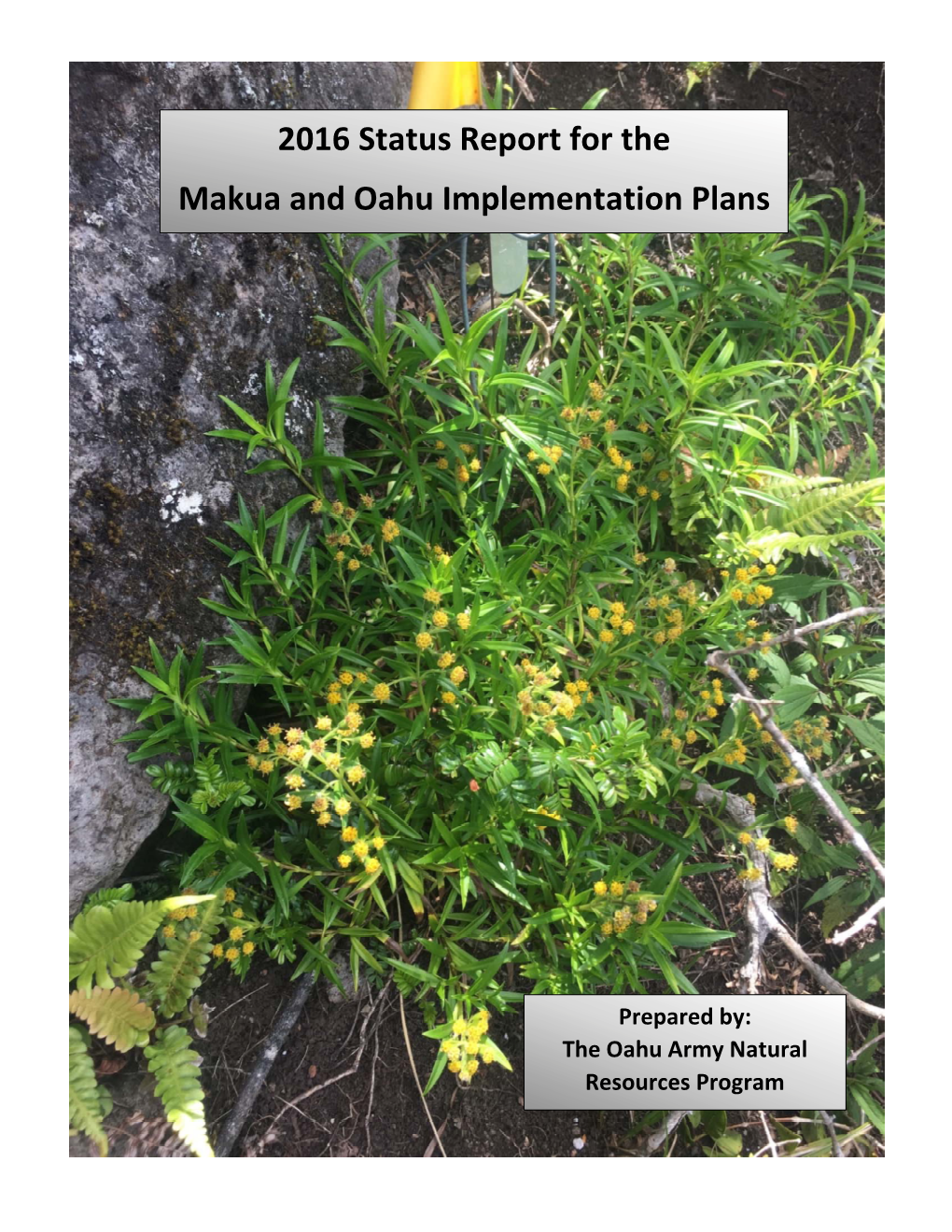2016 Status Report for the Makua and Oahu Implementation Plans
