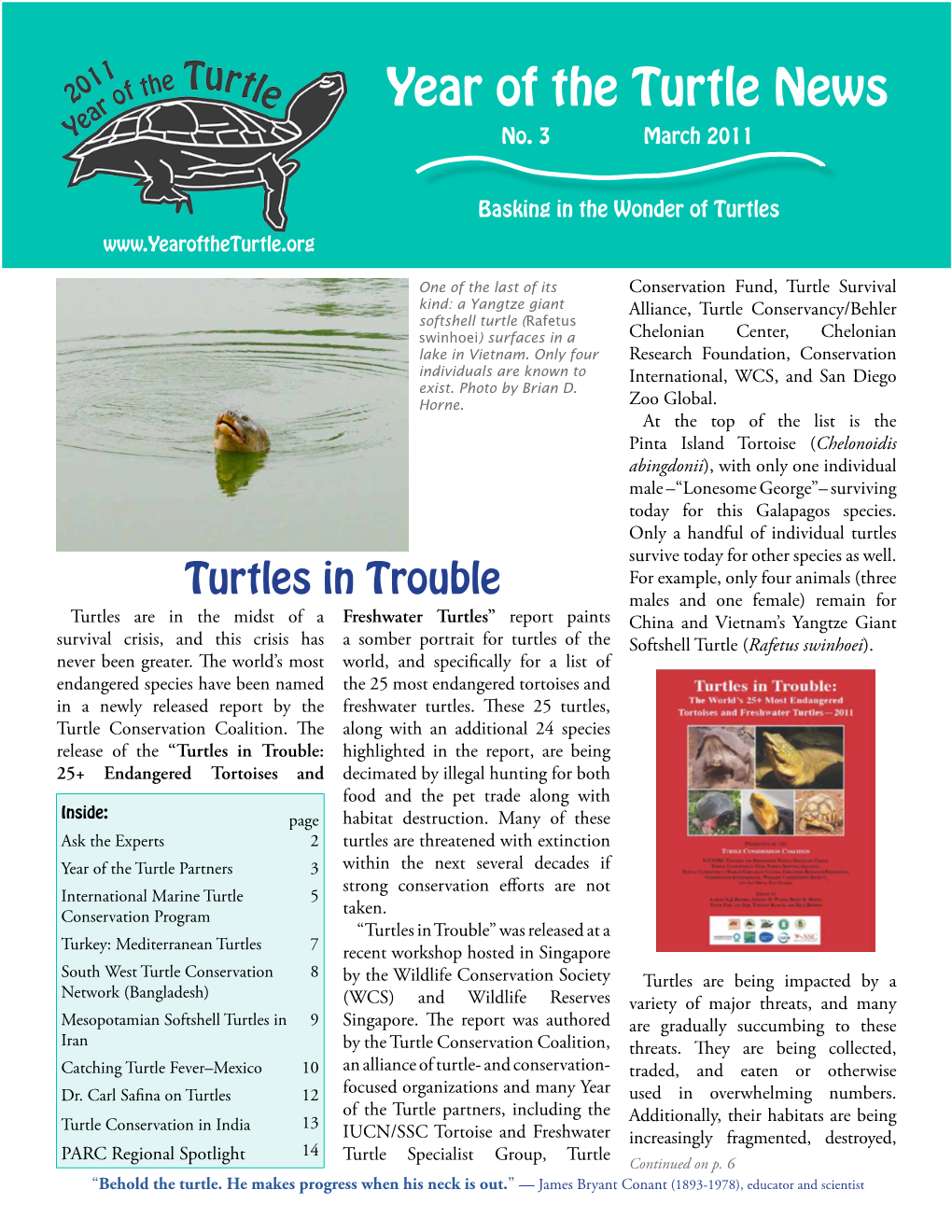 Year of the Turtle News No