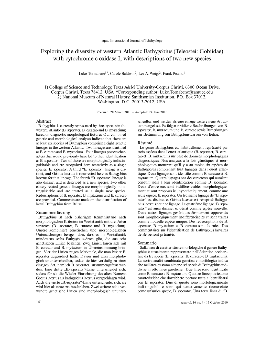 Exploring the Diversity of Western Atlantic Bathygobius (Teleostei: Gobiidae) with Cytochrome C Oxidase-I, with Descriptions of Two New Species