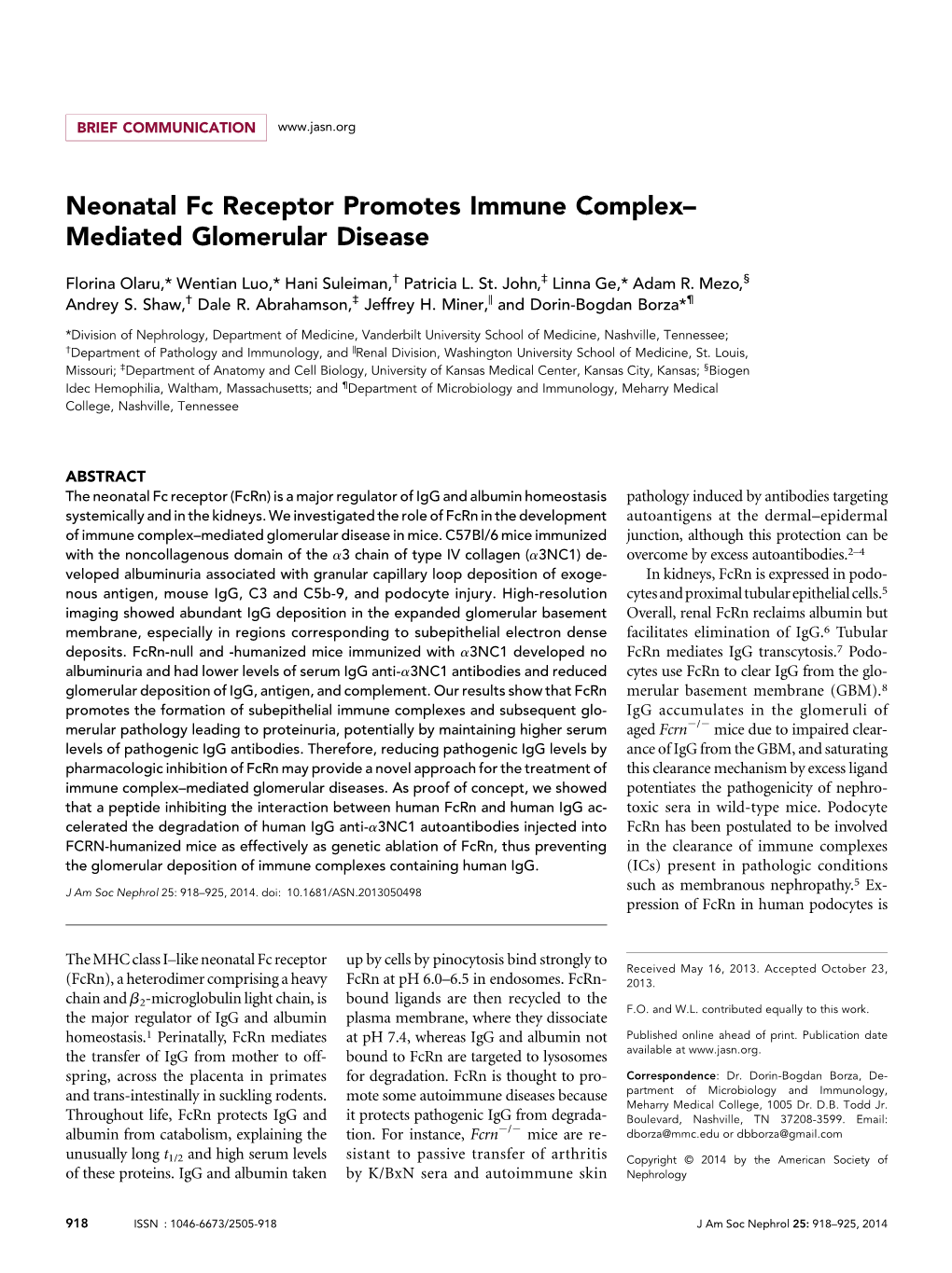 Neonatal Fc Receptor Promotes Immune Complex– Mediated Glomerular Disease