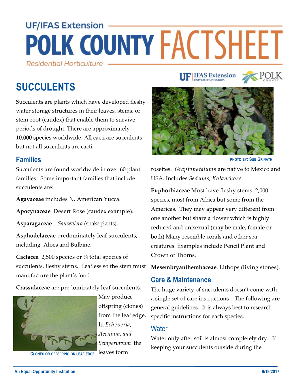 Succulents-Fact-Sheet.Pdf