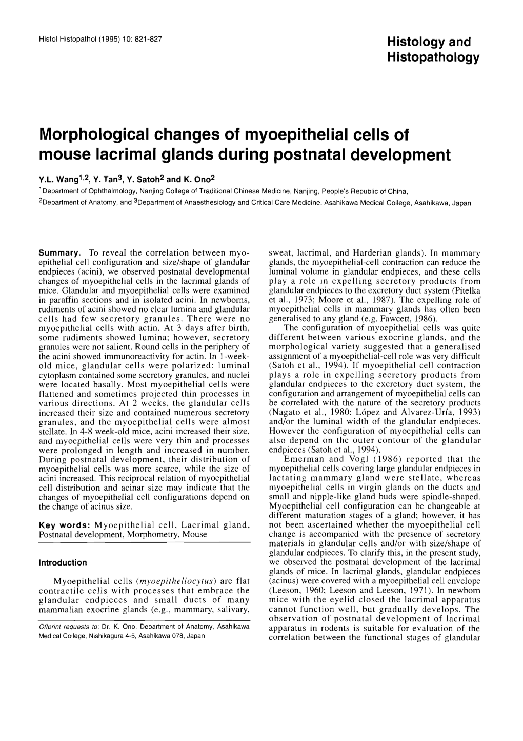 Morphological Changes of Myoepithelial Cells Of.Pdf