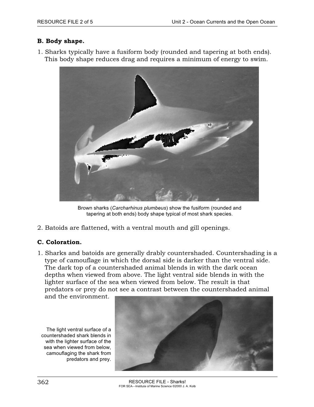 362 B. Body Shape. 1. Sharks Typically Have a Fusiform Body