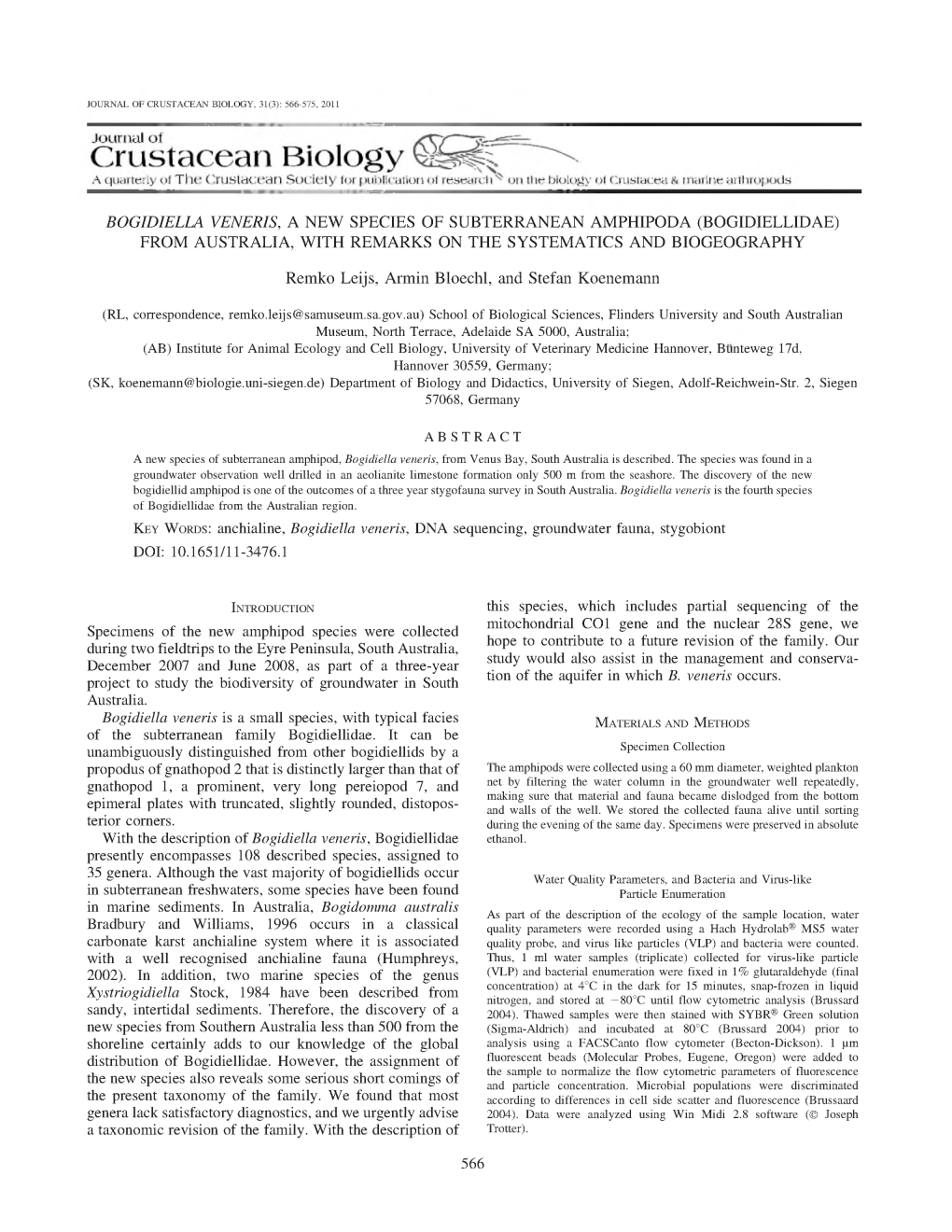 Bogidiella Veneris, a New Species of Subterranean Amphipoda (Bogidiellidae) from Australia, with Remarks on the Systematics and Biogeography