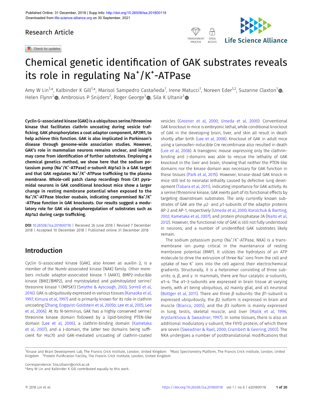 Chemical Genetic Identification of GAK Substrates Reveals Its Role In