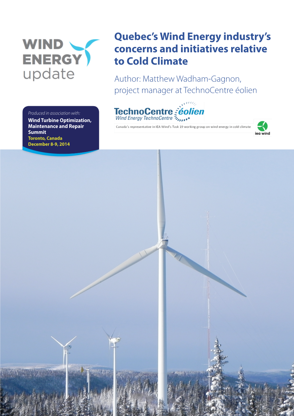 Quebec's Wind Energy Industry's Concerns and Initiatives Relative To