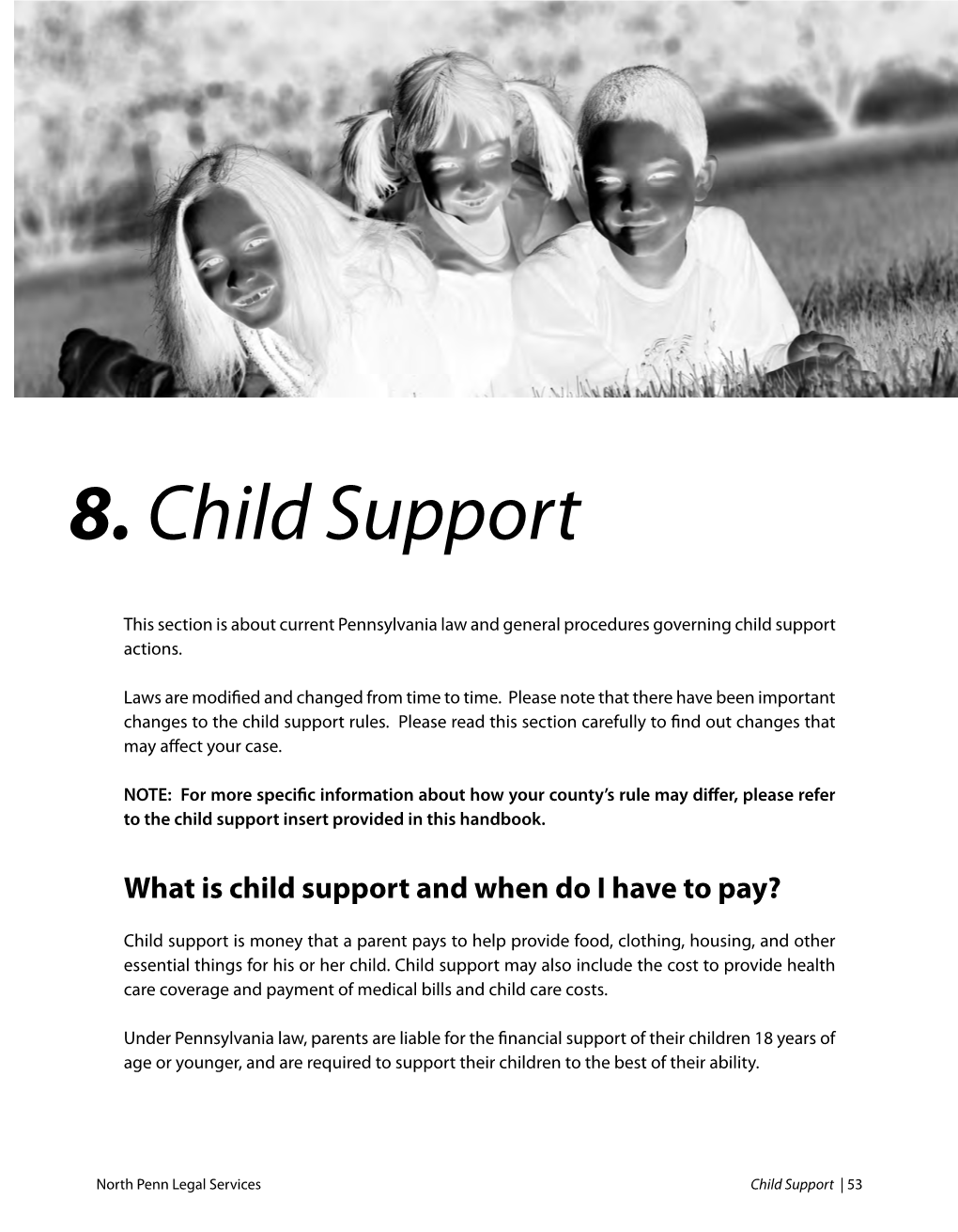 8. Child Support