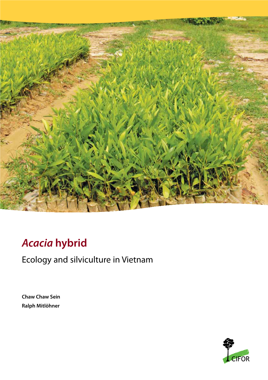 Acacia Hybrid Ecology and Silviculture in Vietnam