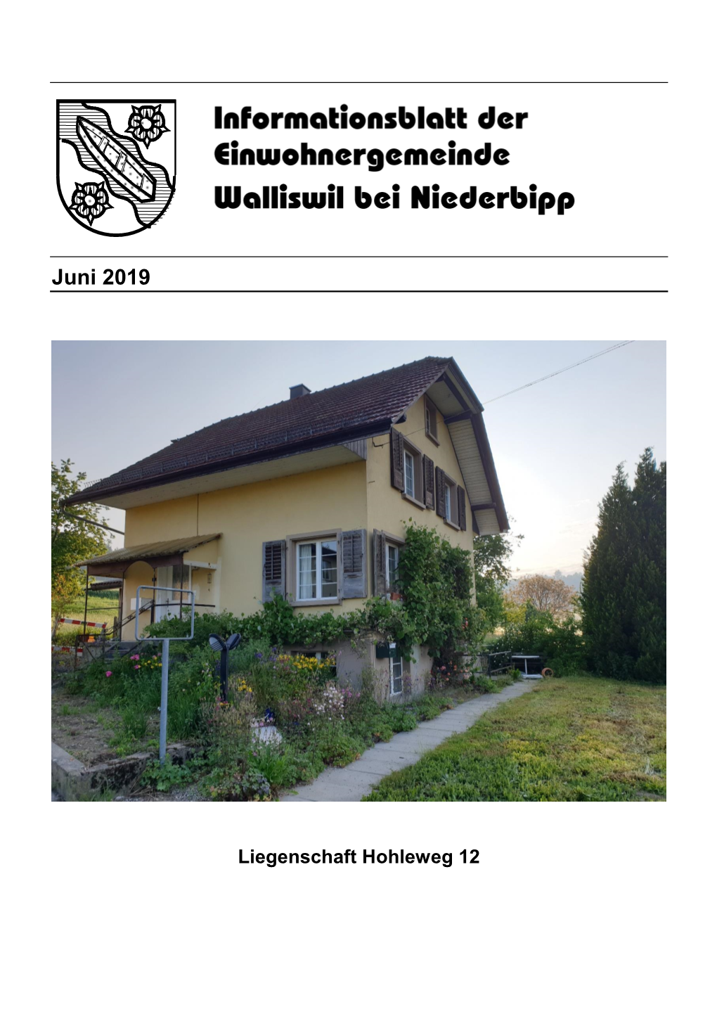 Informationsblatt Juni 2019