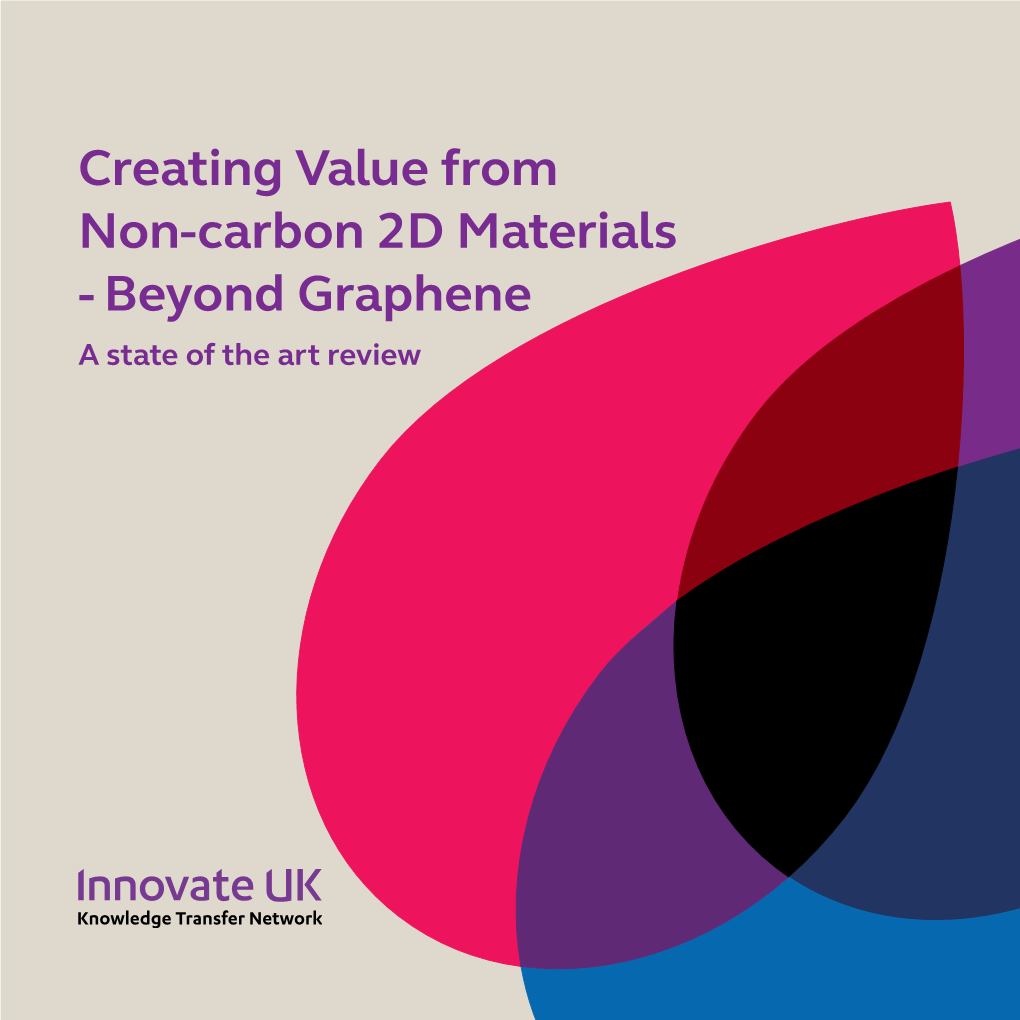 Creating Value from Non-Carbon 2D Materials