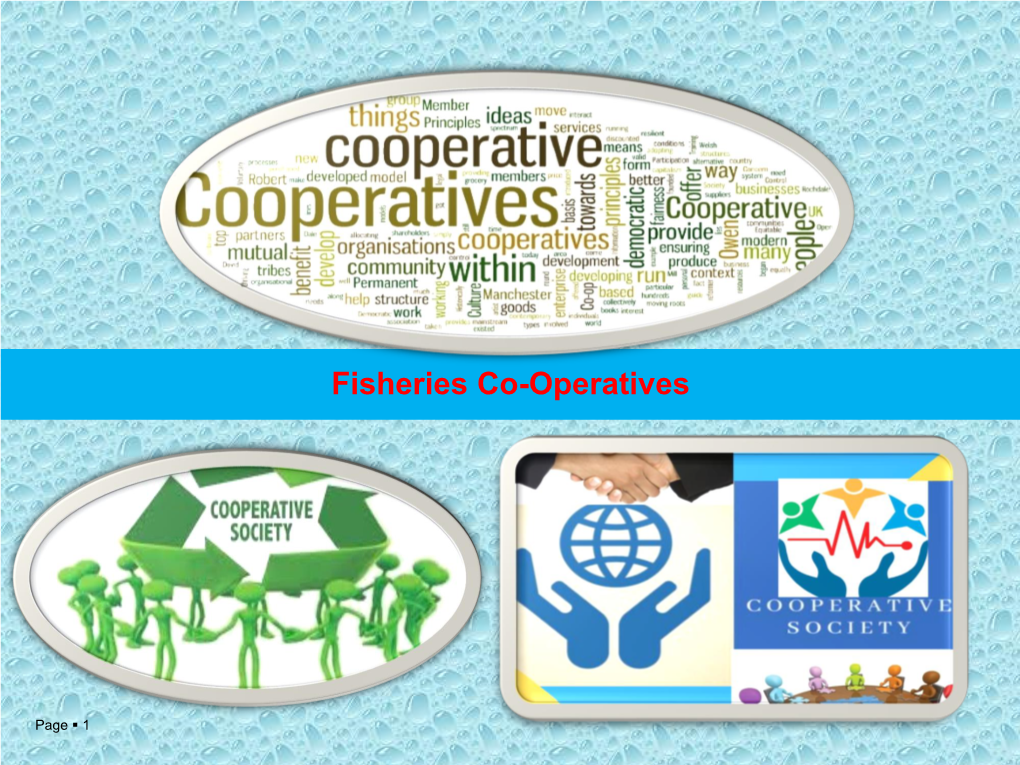 Fisheries Co-Operatives