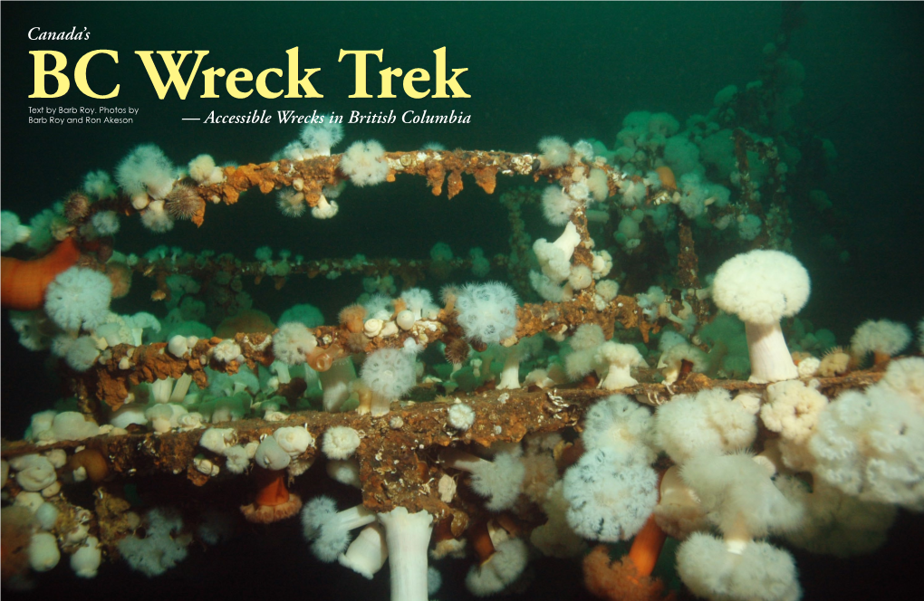 BC Wreck Trek