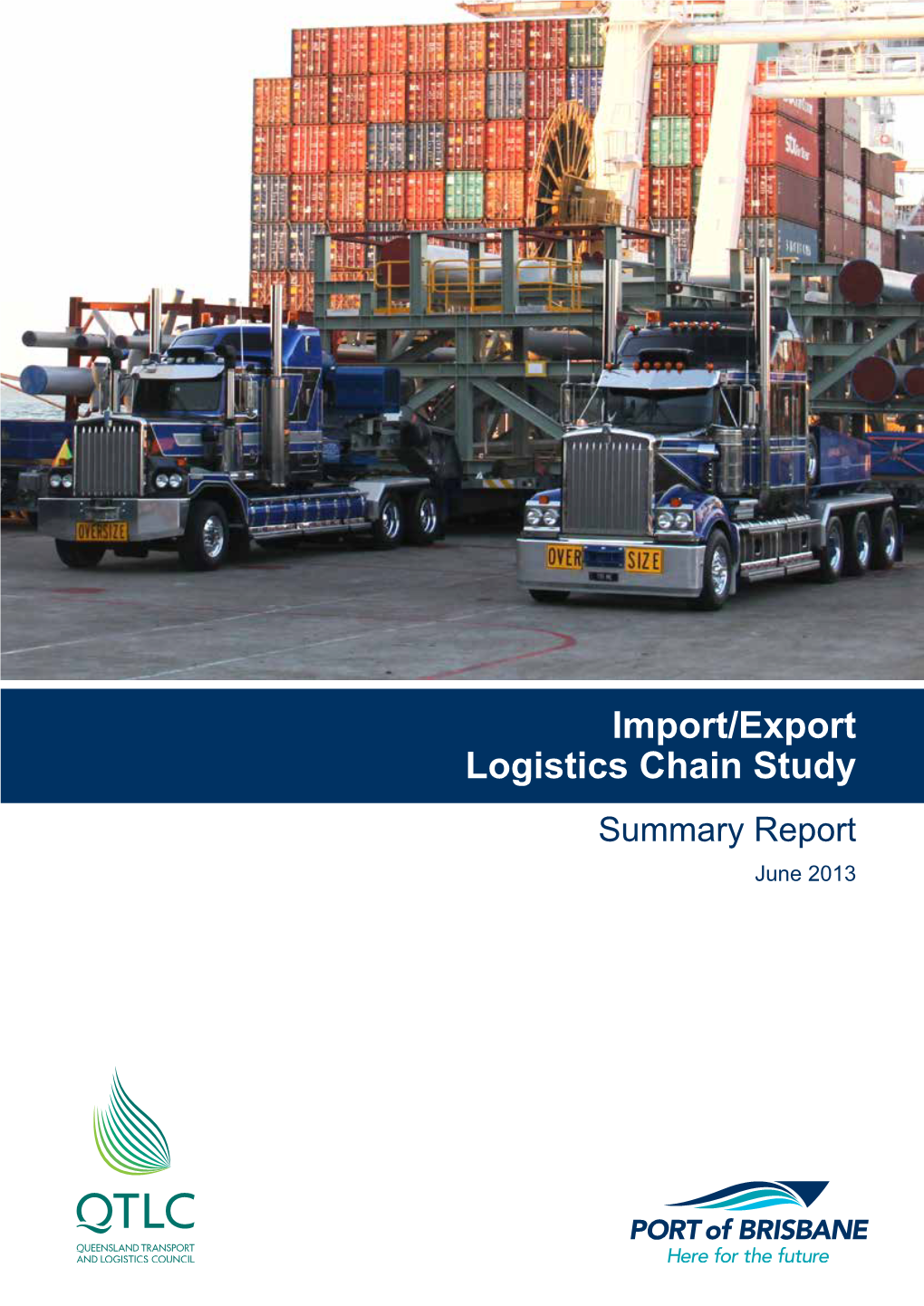 Import/Export Logistics Chain Study Summary Report June 2013 RELIANCE and DISCLAIMER