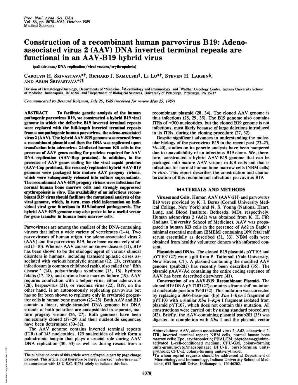 Construction of a Recombinant Human Parvovirus