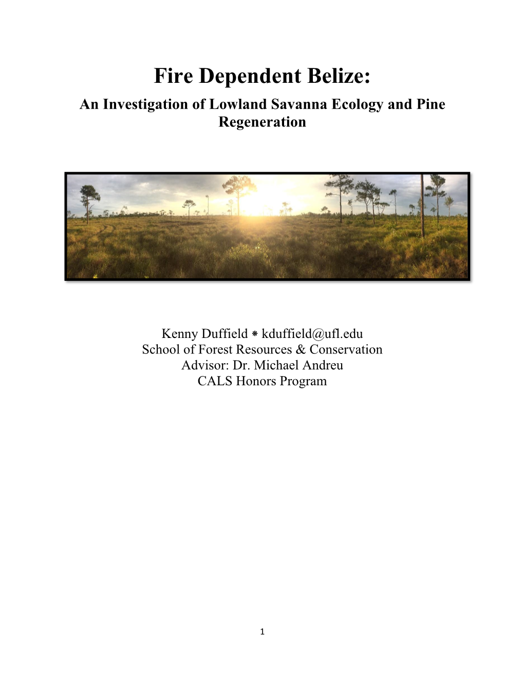 Fire Dependent Belize: an Investigation of Lowland Savanna Ecology and Pine Regeneration