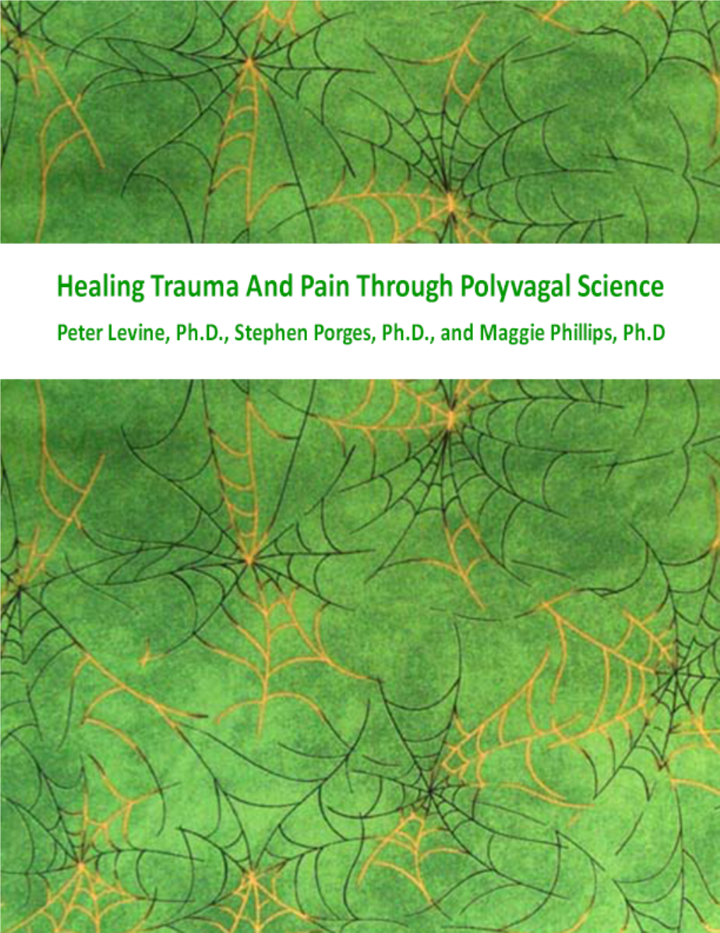 E Book Healing Trauma Pain Through Polyvagal