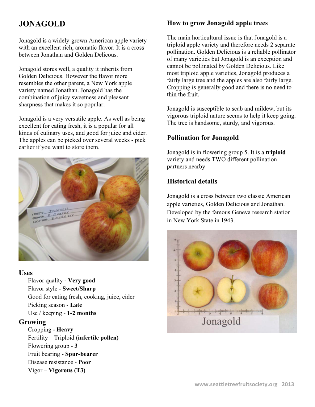 JONAGOLD How to Grow Jonagold Apple Trees