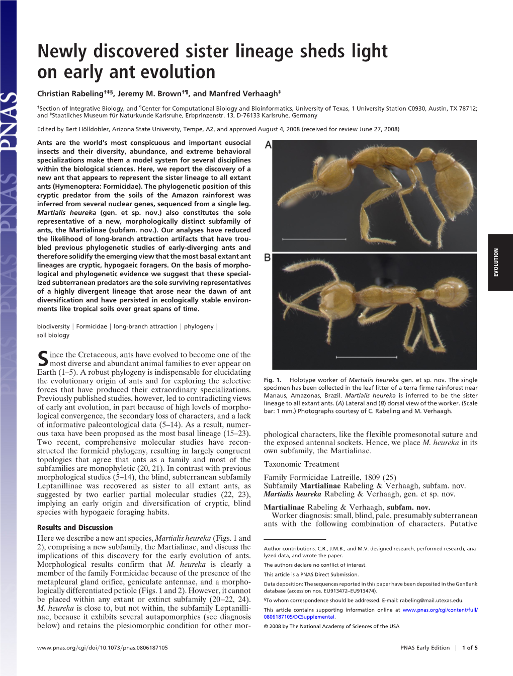 Newly Discovered Sister Lineage Sheds Light on Early Ant Evolution