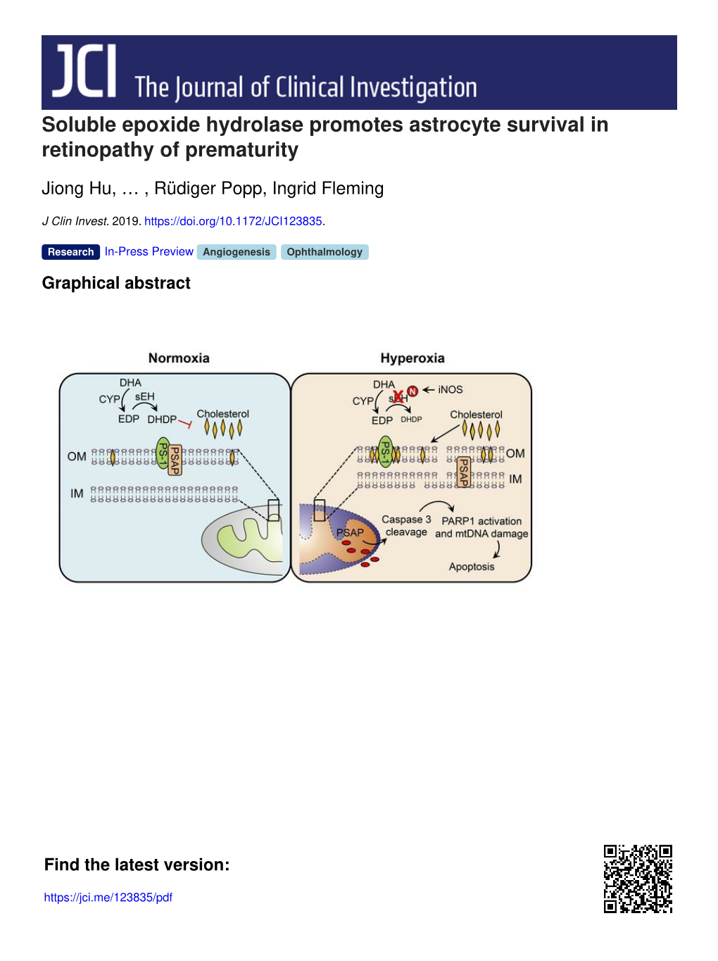 Soluble Epoxide Hydrolase Promotes Astrocyte Survival in Retinopathy of Prematurity