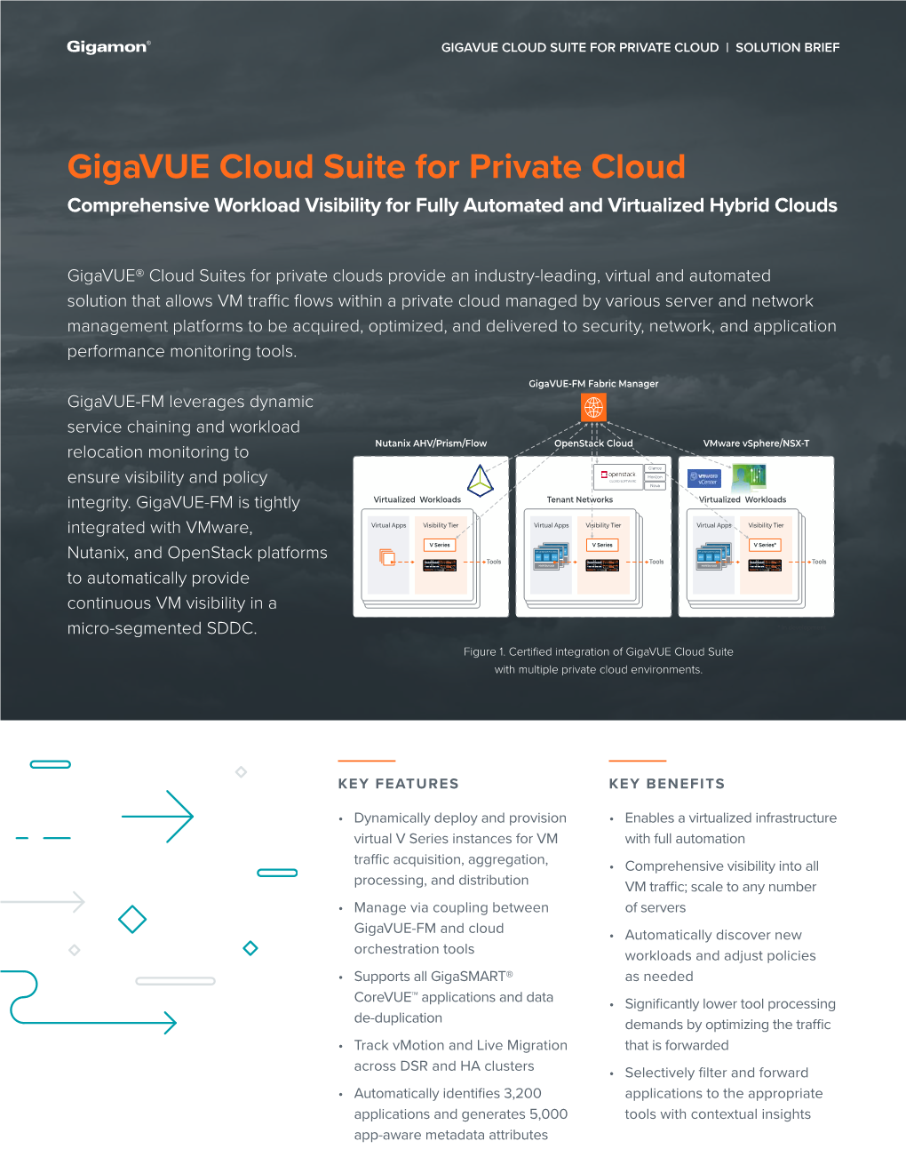 Gigavue Cloud Suite for Openstack Solution Brief