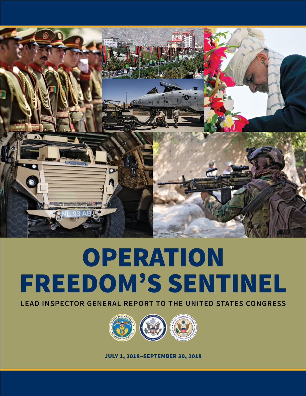 Operation Freedom's Sentinel