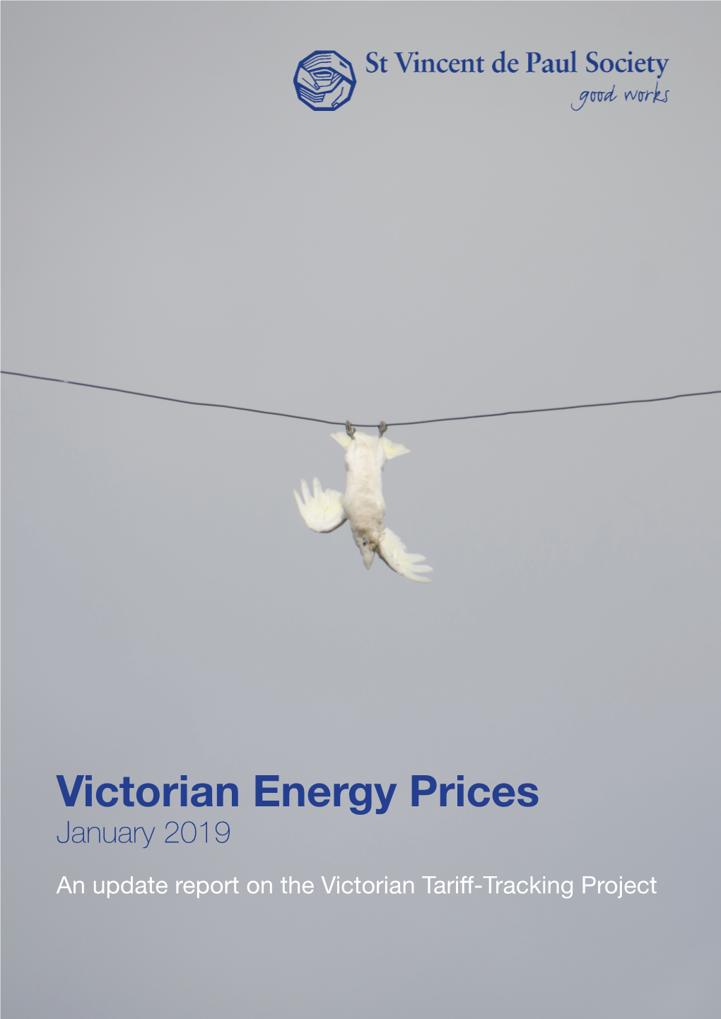 Victorian Energy Prices January 2019