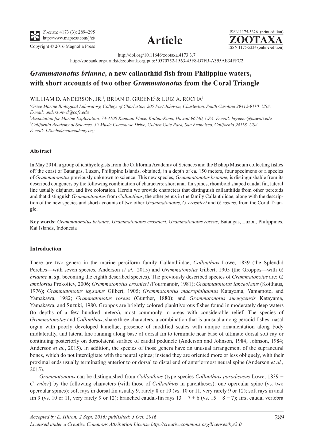 Grammatonotus Brianne, a New Callanthiid Fish from Philippine Waters, with Short Accounts of Two Other Grammatonotus from the Coral Triangle