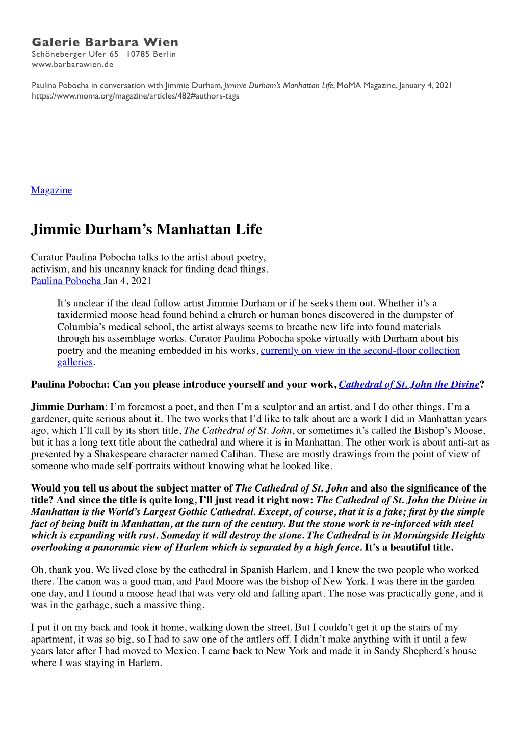 Jimmie Durham's Manhattan Life