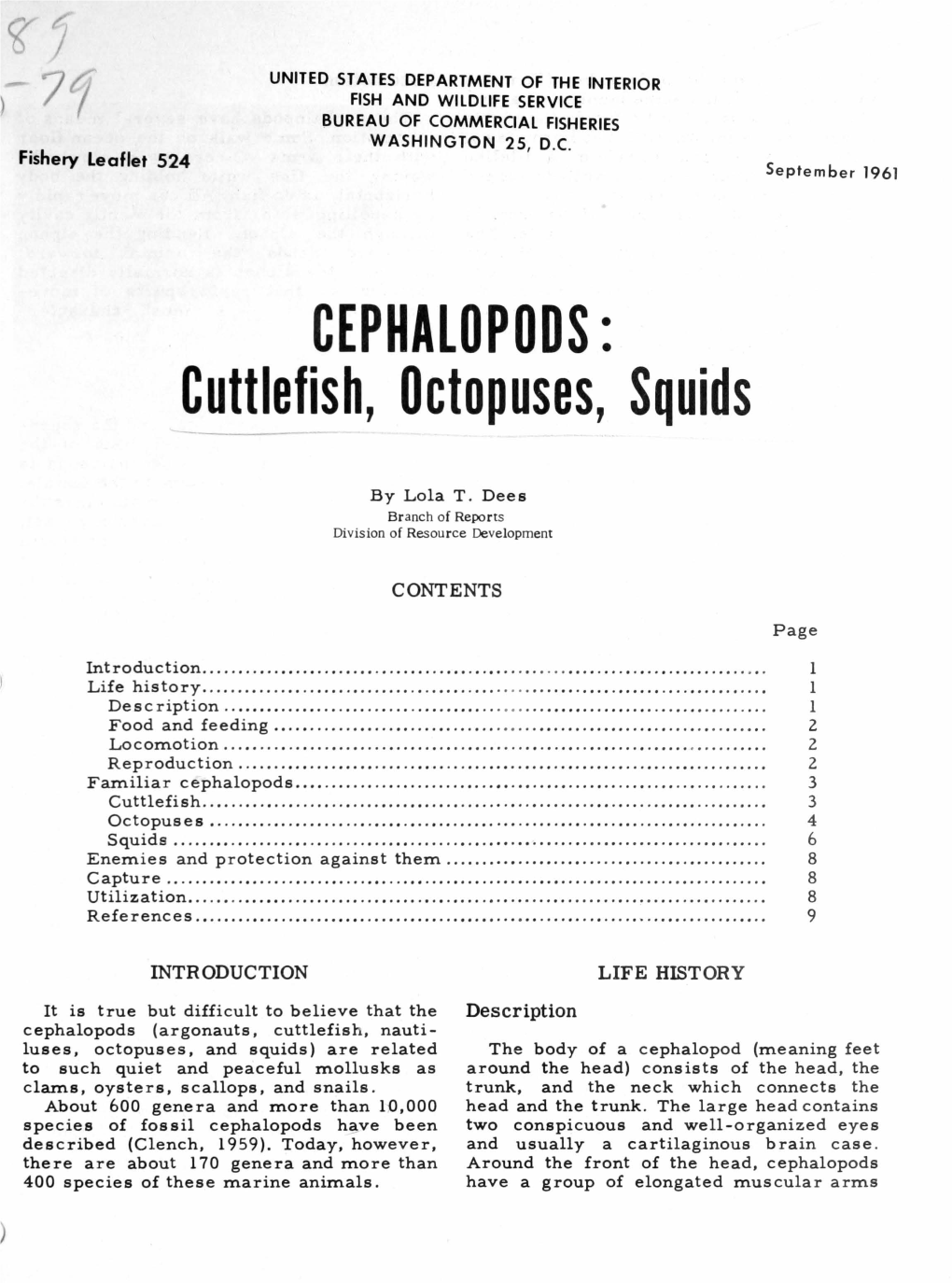 CEPHALOPODS: Cuttlefish, Octopuses, Squids