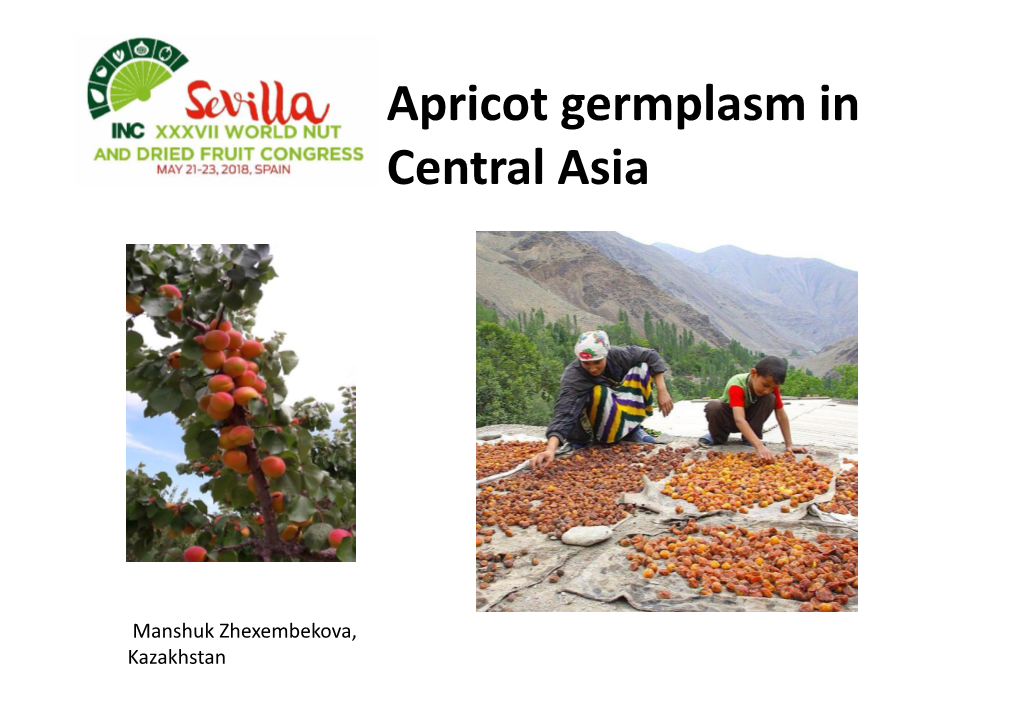 Apricot Germplasm in Central Asia
