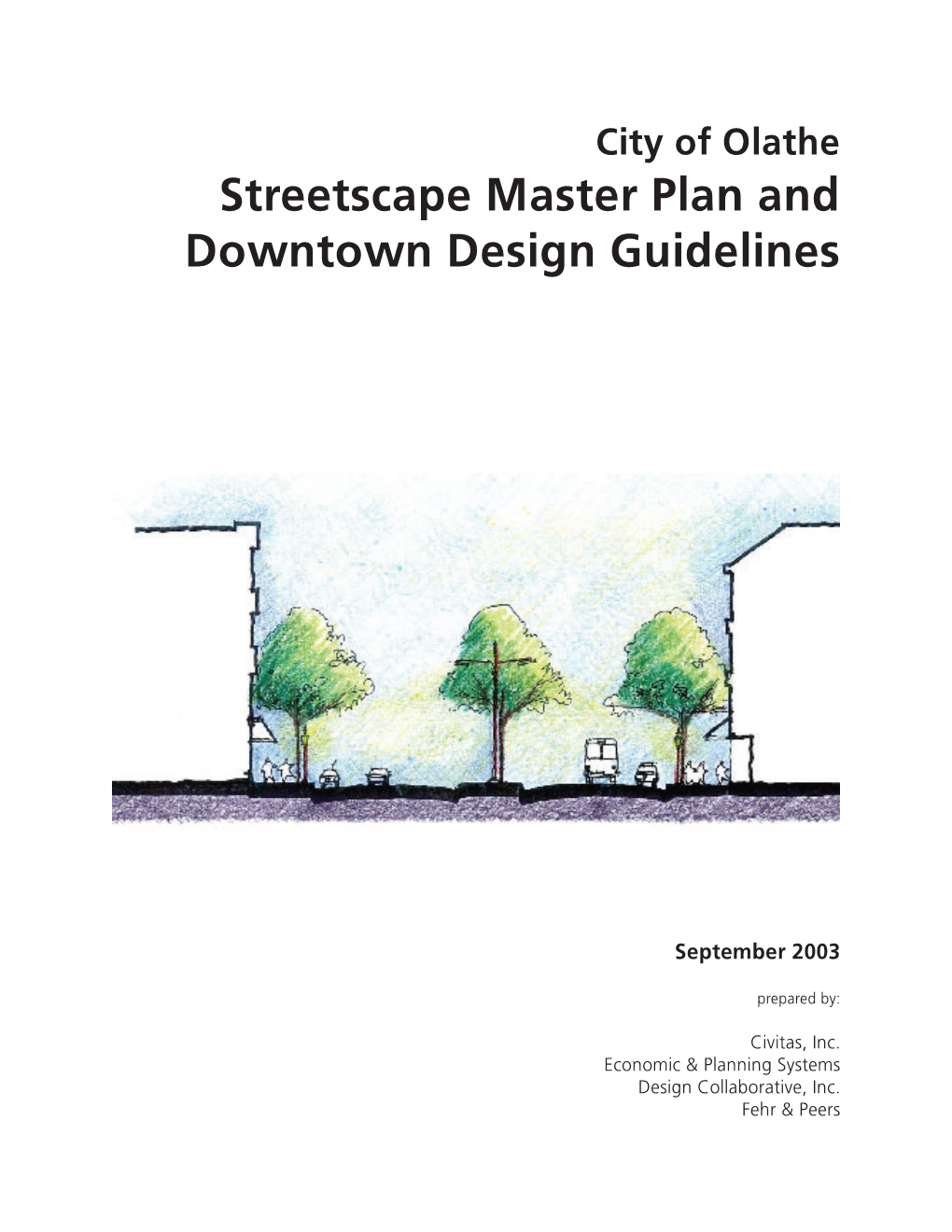 Streetscape Master Plan & Downtown Design Guidelines