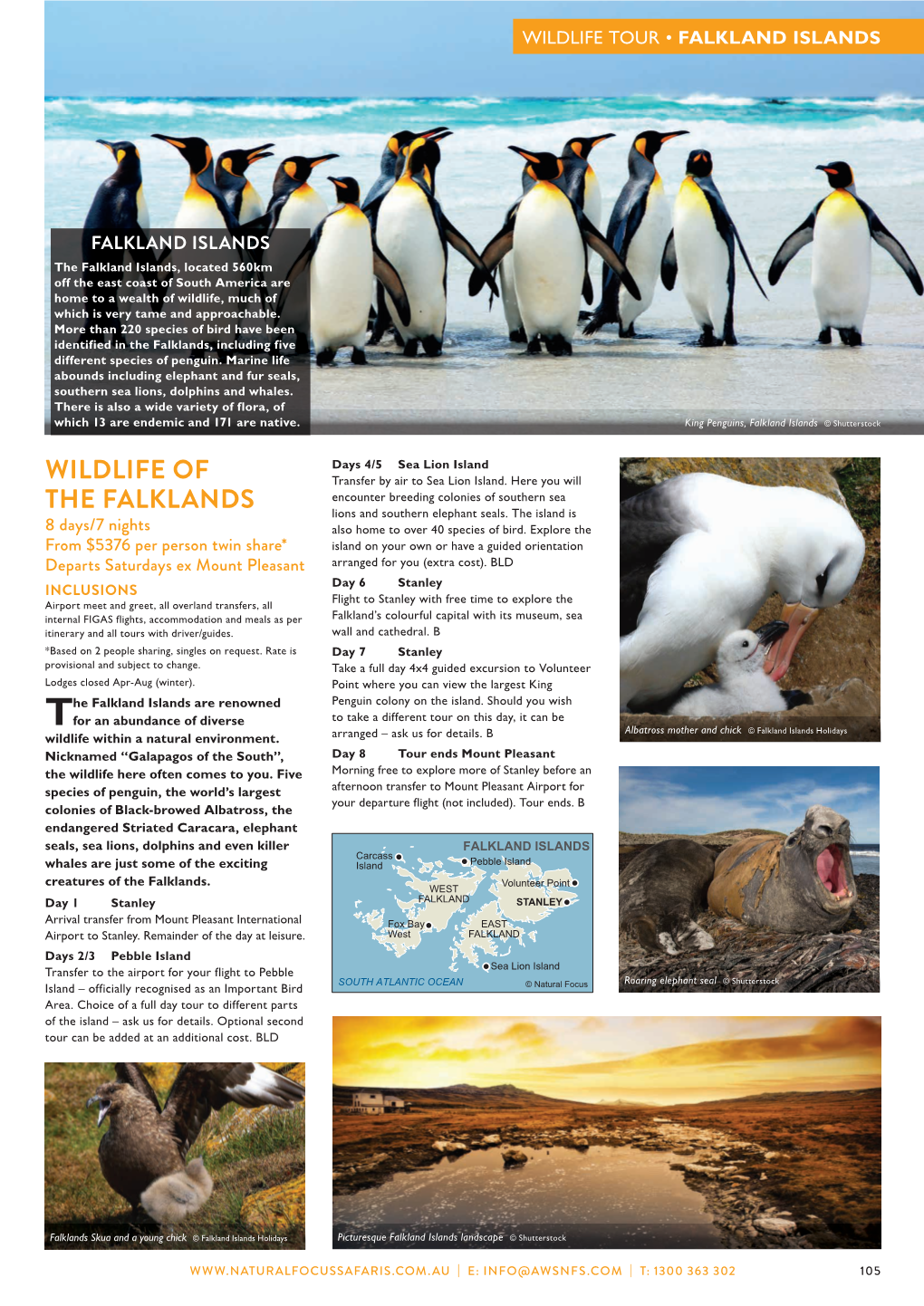 Wildlife of the Falklands