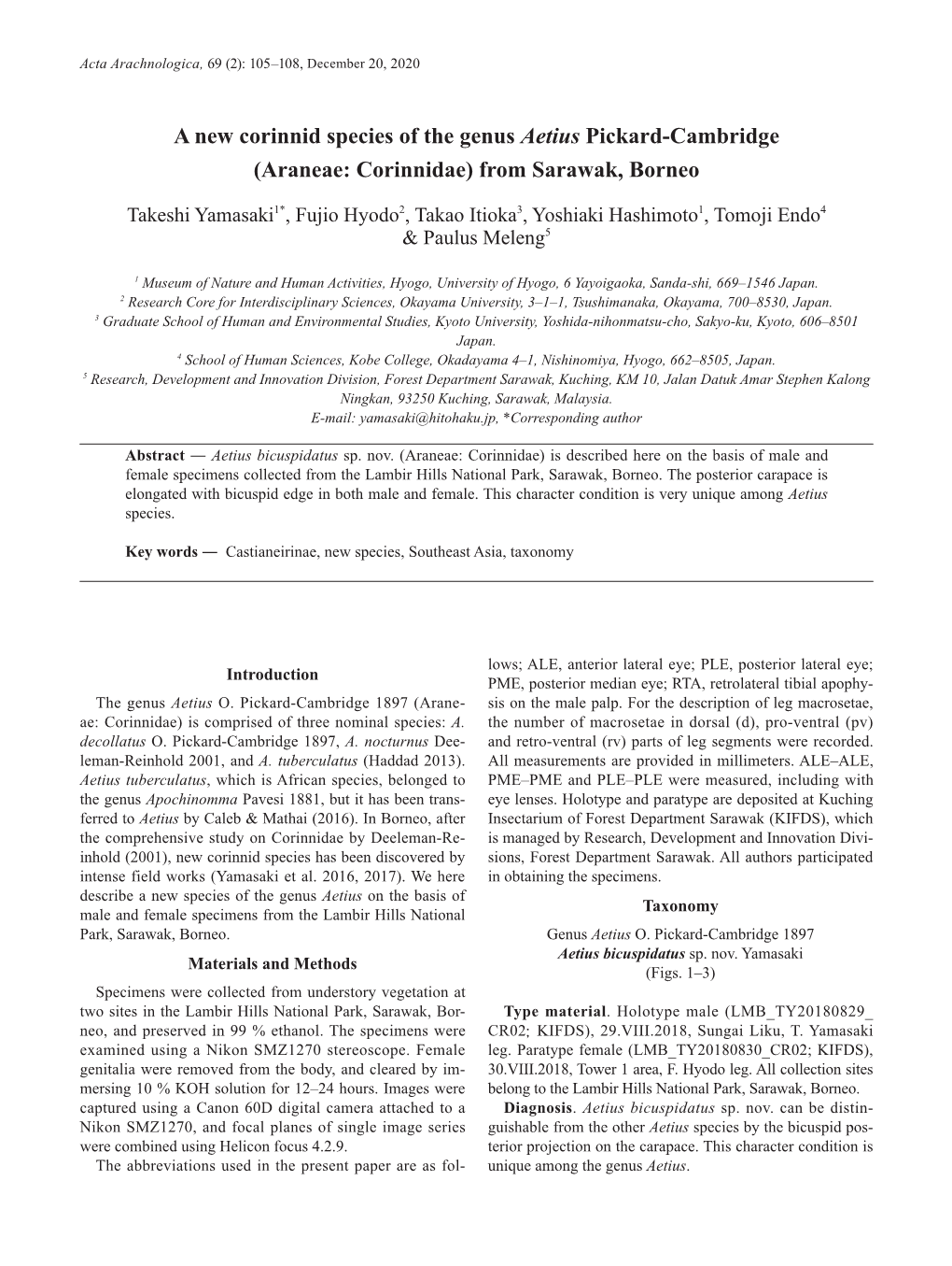 A New Corinnid Species of the Genus Aetius Pickard-Cambridge (Araneae: Corinnidae) from Sarawak, Borneo