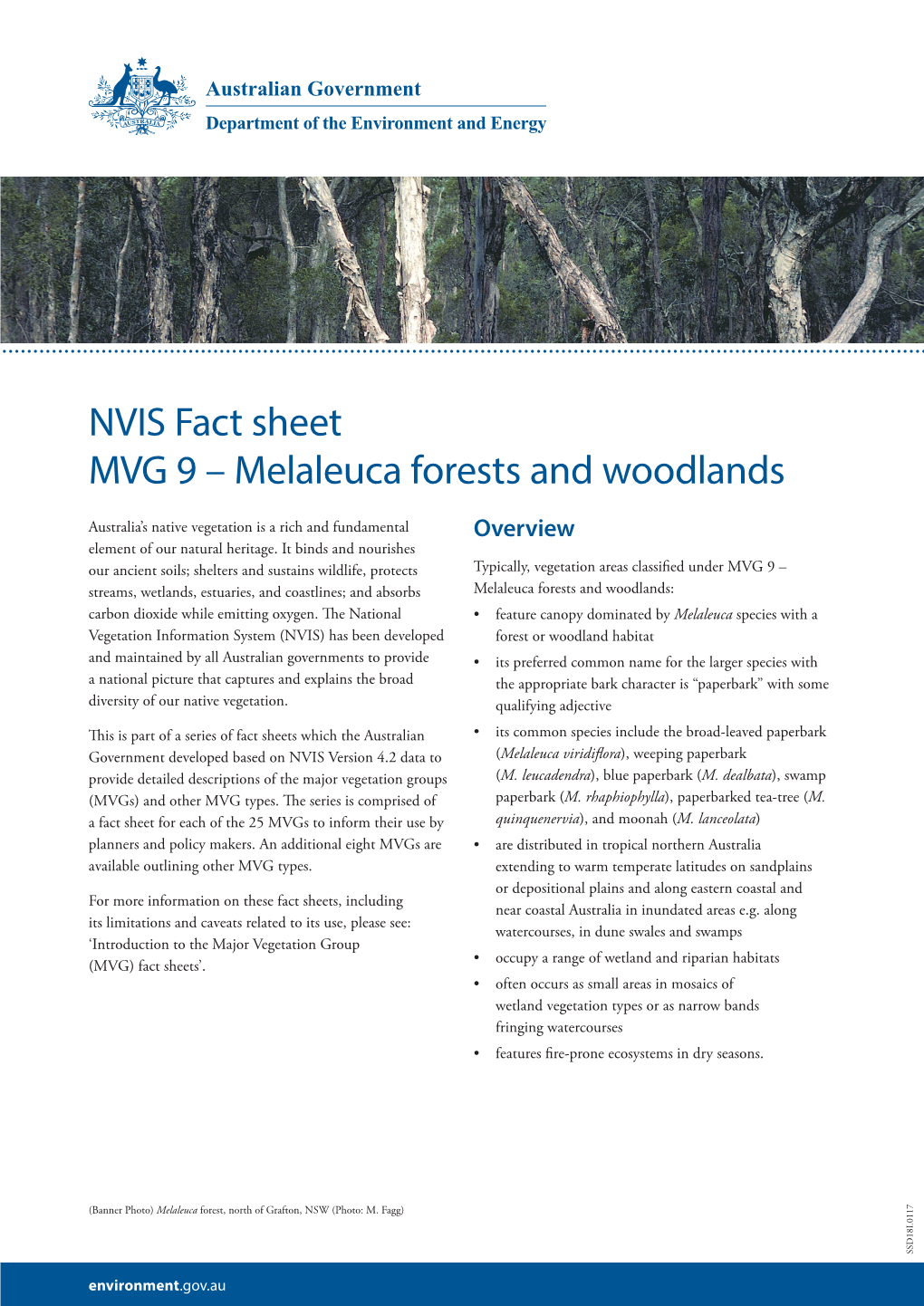 NVIS Fact Sheet MVG 9 – Melaleuca Forests and Woodlands